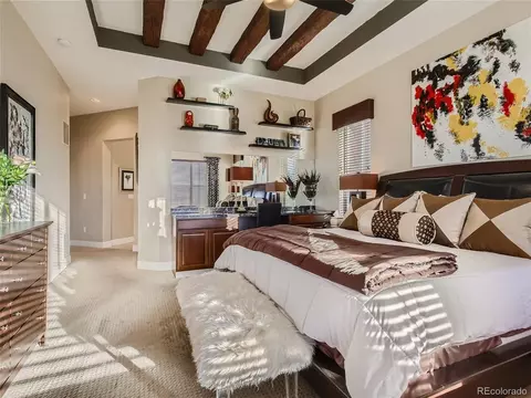 10461 Ladera Dr, Lone Tree, CO 80124 photo 18