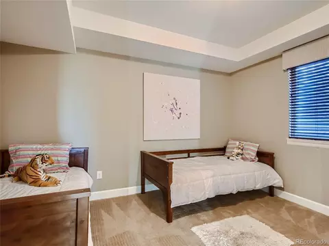 10461 Ladera Dr, Lone Tree, CO 80124 photo 28