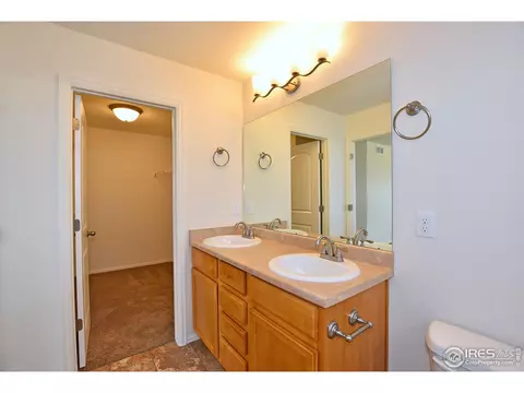 823 Sambar Dr, Severance, CO 80550 photo 28