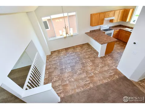 823 Sambar Dr, Severance, CO 80550 photo 14