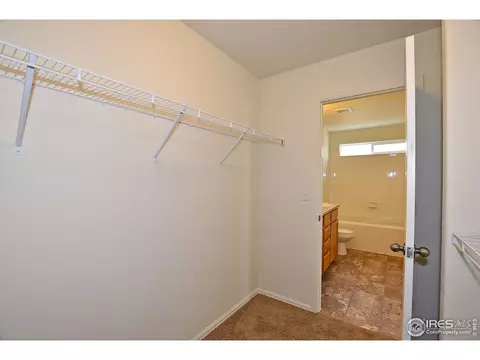 823 Sambar Dr, Severance, CO 80550 photo 29