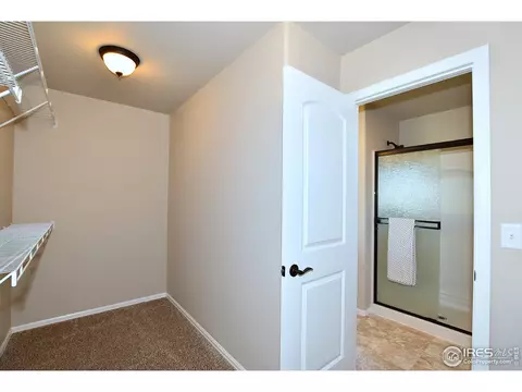 1305 Roe Deer St, Windsor, CO 80550 photo 34
