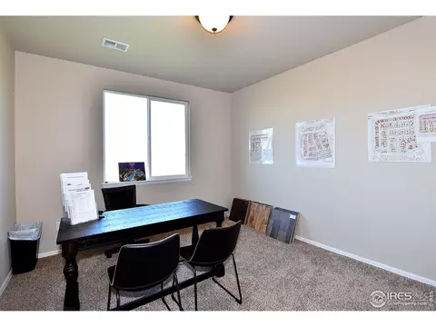 1305 Roe Deer St, Windsor, CO 80550 photo 25