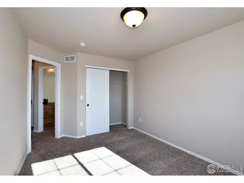 1305 Roe Deer St, Windsor, CO 80550 photo 38