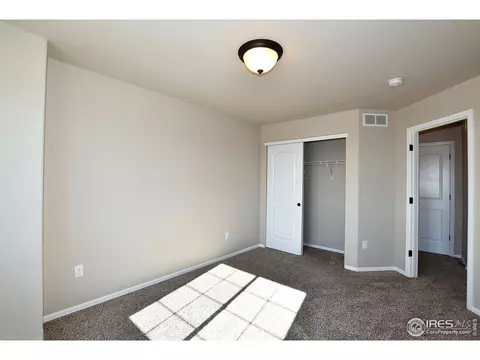 1305 Roe Deer St, Windsor, CO 80550 photo 36