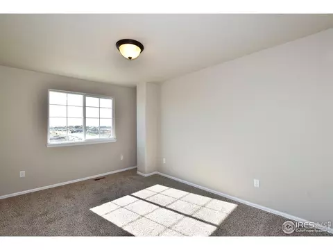 1305 Roe Deer St, Windsor, CO 80550 photo 35