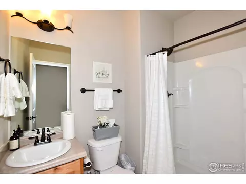 1305 Roe Deer St, Windsor, CO 80550 photo 23
