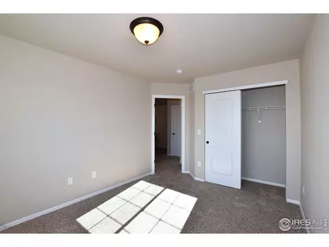 1305 Roe Deer St, Windsor, CO 80550 photo 39