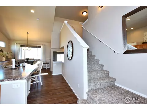 1305 Roe Deer St, Windsor, CO 80550 photo 6