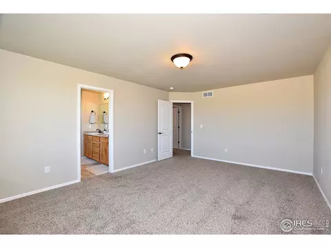 1305 Roe Deer St, Windsor, CO 80550 photo 30