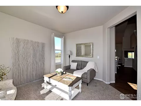 1305 Roe Deer St, Windsor, CO 80550 photo 3