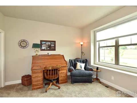 1131 Waterfall St, Timnath, CO 80547 photo 13
