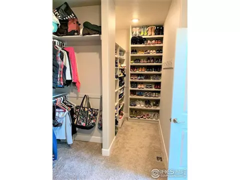 1131 Waterfall St, Timnath, CO 80547 photo 17