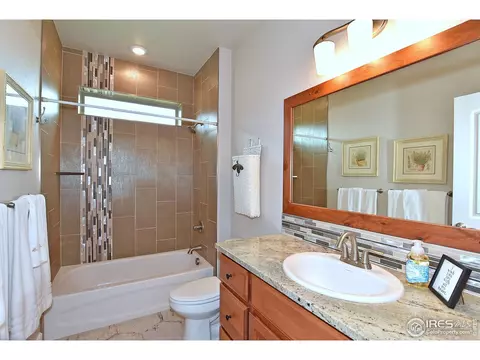 1131 Waterfall St, Timnath, CO 80547 photo 23