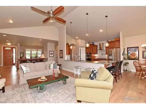 1131 Waterfall St, Timnath, CO 80547 photo 4