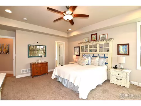 1131 Waterfall St, Timnath, CO 80547 photo 14