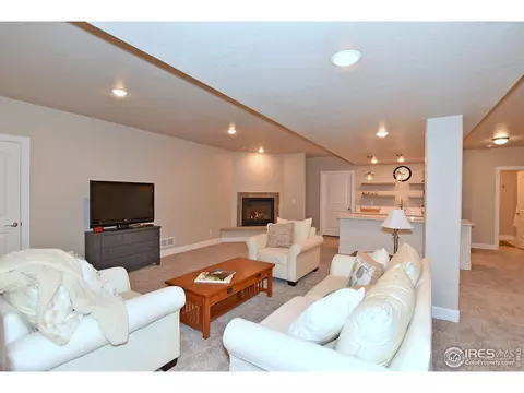 1131 Waterfall St, Timnath, CO 80547 photo 24
