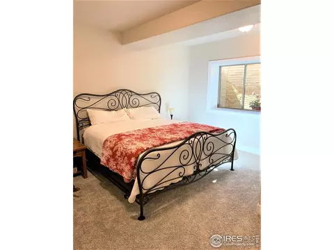 1131 Waterfall St, Timnath, CO 80547 photo 28