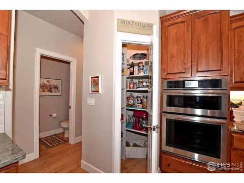 1131 Waterfall St, Timnath, CO 80547 photo 9