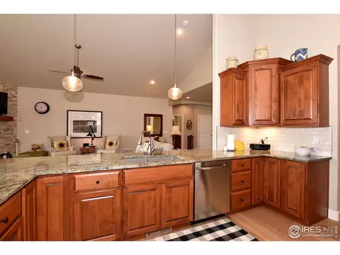 1131 Waterfall St, Timnath, CO 80547 photo 10