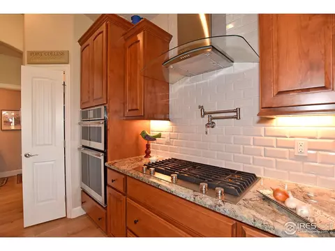 1131 Waterfall St, Timnath, CO 80547 photo 7