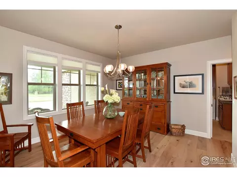 1131 Waterfall St, Timnath, CO 80547 photo 6