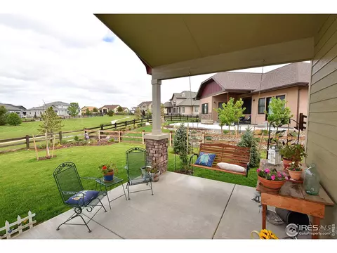 1131 Waterfall St, Timnath, CO 80547 photo 33