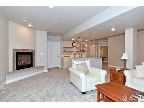 1131 Waterfall St, Timnath, CO 80547 photo 25