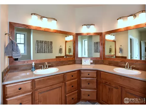 1131 Waterfall St, Timnath, CO 80547 photo 18