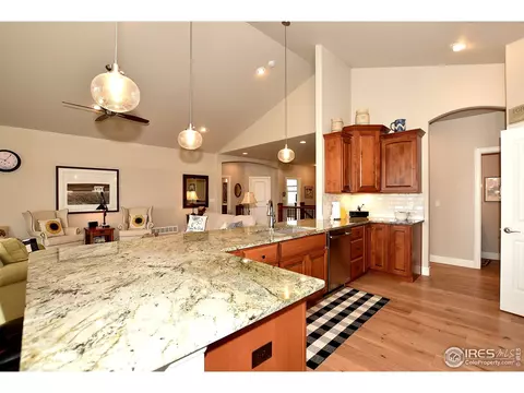 1131 Waterfall St, Timnath, CO 80547 photo 8