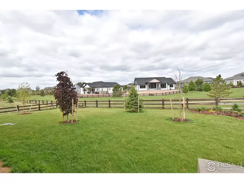 1131 Waterfall St, Timnath, CO 80547 photo 34