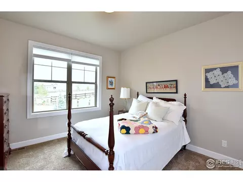 1131 Waterfall St, Timnath, CO 80547 photo 22