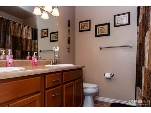 1077 Wingate Dr, Fruita, CO 81521 photo 13