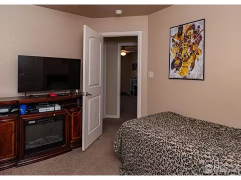 1077 Wingate Dr, Fruita, CO 81521 photo 20