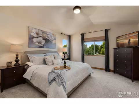 652 Denali Ct, Windsor, CO 80550 photo 14