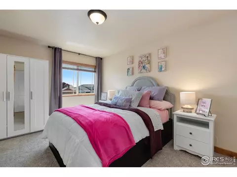 652 Denali Ct, Windsor, CO 80550 photo 20