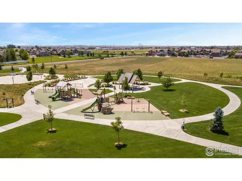 652 Denali Ct, Windsor, CO 80550 photo 39