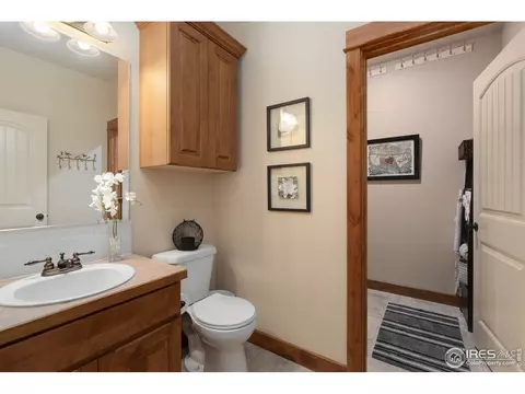652 Denali Ct, Windsor, CO 80550 photo 33