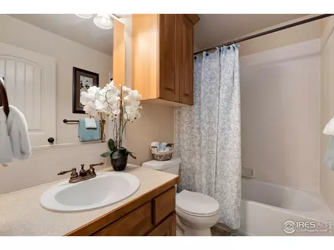652 Denali Ct, Windsor, CO 80550 photo 21