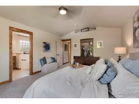 652 Denali Ct, Windsor, CO 80550 photo 15