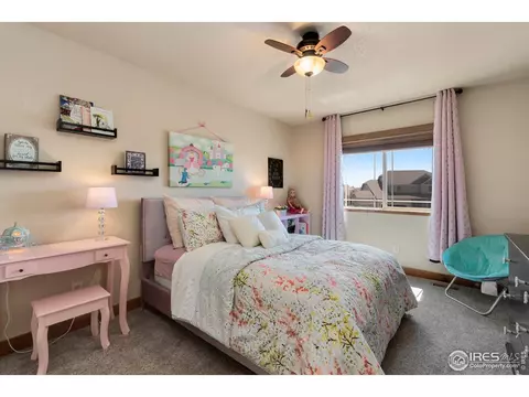 652 Denali Ct, Windsor, CO 80550 photo 19