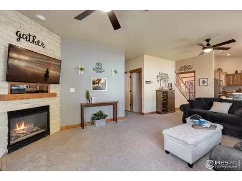 652 Denali Ct, Windsor, CO 80550 photo 9