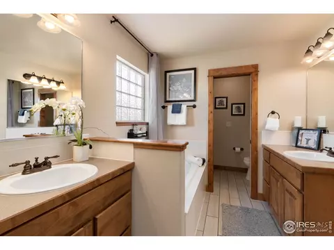 652 Denali Ct, Windsor, CO 80550 photo 18