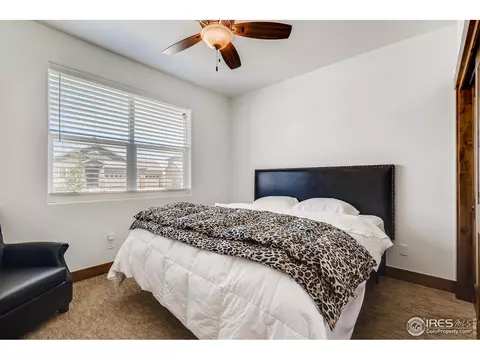 6049 Carmon Dr, Windsor, CO 80550 photo 20