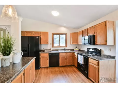 2904 E 101st Ave, Thornton, CO 80229 photo 11
