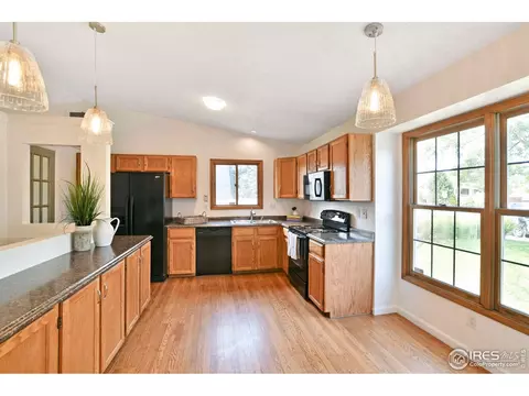 2904 E 101st Ave, Thornton, CO 80229 photo 8