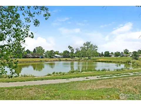 2904 E 101st Ave, Thornton, CO 80229 photo 37