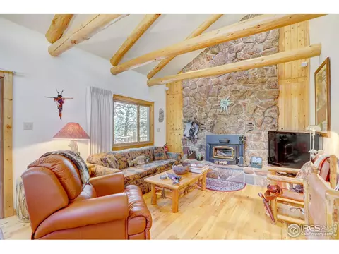 751 Hickory Dr, Lyons, CO 80540 photo 10