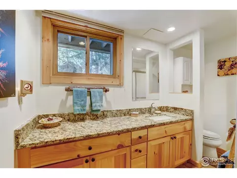 751 Hickory Dr, Lyons, CO 80540 photo 19