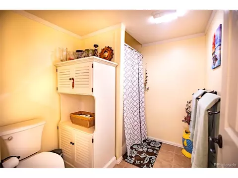 653 Bonell Dr, Fairplay, CO 80440 photo 38